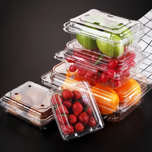 Clear Plastic Hinged Take Out Containers Disposable Clamshell Food Cake ...